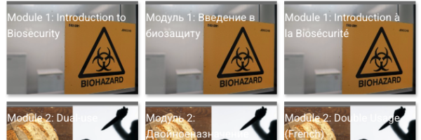 Module overview in english, russian and french