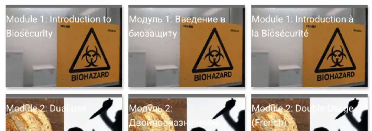 Module overview in english, russian and french